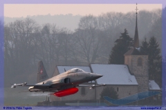 2016-Payerne-WEF-F18-F5-Hornet-Tiger-176