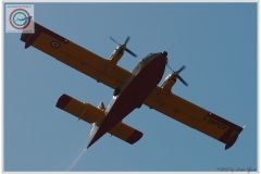 2017-san-teodoro-incendio-canadair-super-puma-cl-415-water-bomber-053