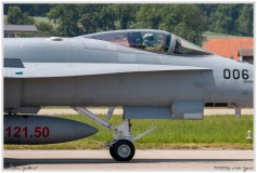 2019-Payerne-Schweizer-Luftwaffe-F18-Hornet_029