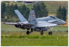 2019-Payerne-Schweizer-Luftwaffe-F18-Hornet_041