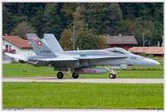 2019-Meiringen-F-18-Puma-EC-635-021