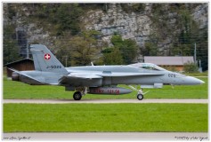 2019-Meiringen-F-18-Puma-EC-635-023