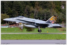 2019-Meiringen-F-18-Puma-EC-635-026