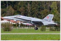 2019-Meiringen-F-18-Puma-EC-635-029
