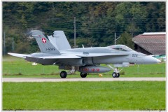 2019-Meiringen-F-18-Puma-EC-635-022