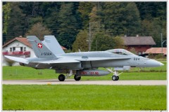 2019-Meiringen-F-18-Puma-EC-635-024