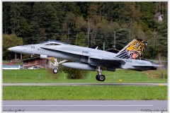 2019-Meiringen-F-18-Puma-EC-635-026