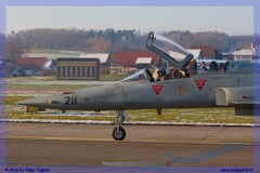 2016-Payerne-WEF-F18-F5-Hornet-Tiger-059