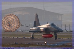 2016-Payerne-WEF-F18-F5-Hornet-Tiger-064