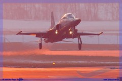 2016-Payerne-WEF-F18-F5-Hornet-Tiger-074