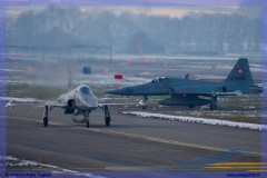2016-Payerne-WEF-F18-F5-Hornet-Tiger-082
