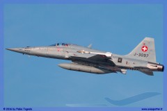 2016-Payerne-WEF-F18-F5-Hornet-Tiger-100