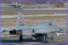 2016-Payerne-WEF-F18-F5-Hornet-Tiger-129