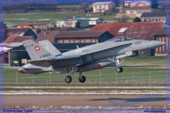 2016-Payerne-WEF-F18-F5-Hornet-Tiger-142