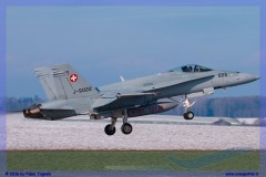 2016-Payerne-WEF-F18-F5-Hornet-Tiger-143