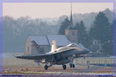 2016-Payerne-WEF-F18-F5-Hornet-Tiger-163