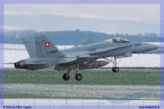 2016-Payerne-WEF-F18-F5-Hornet-Tiger-013