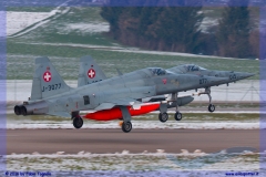 2016-Payerne-WEF-F18-F5-Hornet-Tiger-041