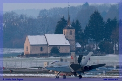 2016-Payerne-WEF-F18-F5-Hornet-Tiger-085