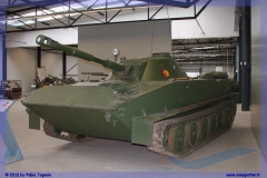 2013-panzer-museum-munster-tiger-merkava-039