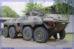 2013-panzer-museum-munster-tiger-merkava-065