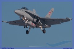 2017-Sion-WEF-F18-F5-Hornet-Tiger_045