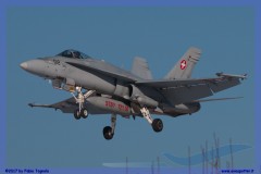 2017-Sion-WEF-F18-F5-Hornet-Tiger_069