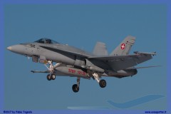 2017-Sion-WEF-F18-F5-Hornet-Tiger_070