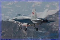 2017-Sion-WEF-F18-F5-Hornet-Tiger_073