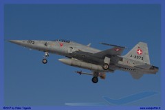2017-Sion-WEF-F18-F5-Hornet-Tiger_094
