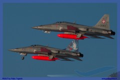 2017-Sion-WEF-F18-F5-Hornet-Tiger_108