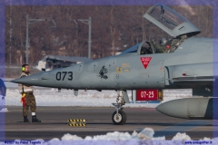 2017-Sion-WEF-F18-F5-Hornet-Tiger_087