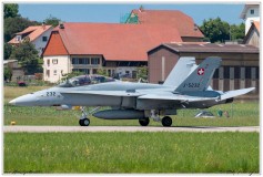 2019-Payerne-Schweizer-Luftwaffe-F18-Hornet_014