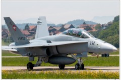 2019-Payerne-Schweizer-Luftwaffe-F18-Hornet_015