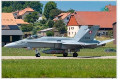 2019-Payerne-Schweizer-Luftwaffe-F18-Hornet_022