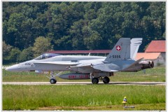 2019-Payerne-Schweizer-Luftwaffe-F18-Hornet_024