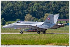 2019-Payerne-Schweizer-Luftwaffe-F18-Hornet_025
