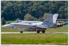 2019-Payerne-Schweizer-Luftwaffe-F18-Hornet_025