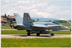 2019-Payerne-Schweizer-Luftwaffe-F18-Hornet_030