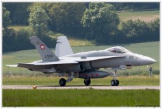 2019-Payerne-Schweizer-Luftwaffe-F18-Hornet_038