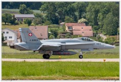 2019-Payerne-Schweizer-Luftwaffe-F18-Hornet_043