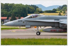 2019-Payerne-Schweizer-Luftwaffe-F18-Hornet_046