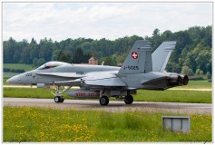 2019-Payerne-Schweizer-Luftwaffe-F18-Hornet_047