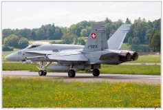 2019-Payerne-Schweizer-Luftwaffe-F18-Hornet_049