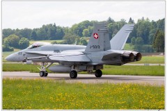 2019-Payerne-Schweizer-Luftwaffe-F18-Hornet_049