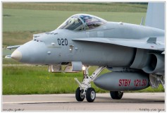 2019-Payerne-Schweizer-Luftwaffe-F18-Hornet_050