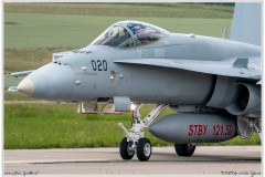 2019-Payerne-Schweizer-Luftwaffe-F18-Hornet_050