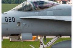 2019-Payerne-Schweizer-Luftwaffe-F18-Hornet_052