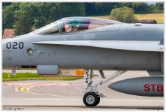 2019-Payerne-Schweizer-Luftwaffe-F18-Hornet_055