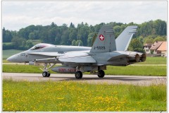 2019-Payerne-Schweizer-Luftwaffe-F18-Hornet_056